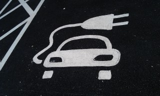 Photo /users/aendr/murinae/275