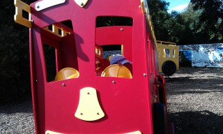 Photo /users/aendr/murinae/277