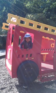 Photo /users/aendr/murinae/279