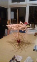 Photo /users/aendr/murinae/308