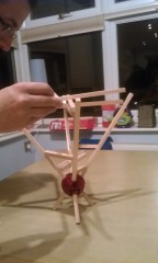 Photo /users/aendr/murinae/314