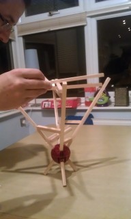 Photo /users/aendr/murinae/314