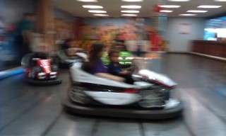 Photo /users/aendr/murinae/316