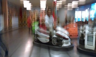 Photo /users/aendr/murinae/318