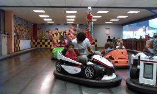 Photo /users/aendr/murinae/319