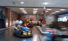 Photo /users/aendr/murinae/323