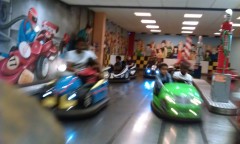 Photo /users/aendr/murinae/326