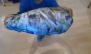 Photo /users/aendr/murinae/334