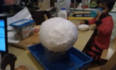 Photo /users/aendr/murinae/336