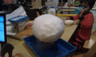 Photo /users/aendr/murinae/336