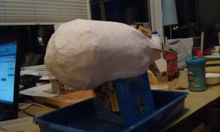 Photo /users/aendr/murinae/337