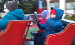 Photo /users/aendr/murinae/338