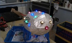 Photo /users/aendr/murinae/347