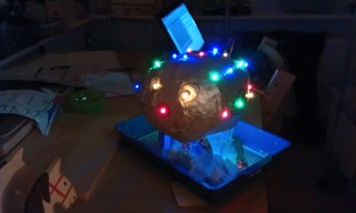 Photo /users/aendr/murinae/348