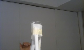 Photo /users/aendr/murinae/352