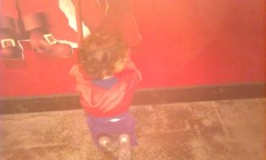 Photo /users/aendr/murinae/359