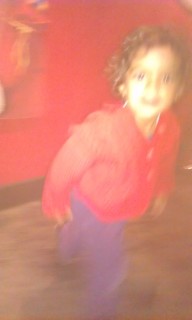 Photo /users/aendr/murinae/364