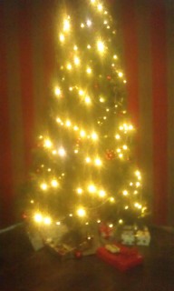 Photo /users/aendr/murinae/371