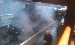 Photo /users/aendr/murinae/372