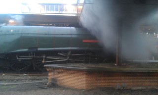 Photo /users/aendr/murinae/374