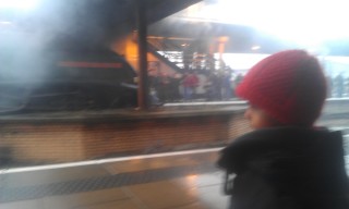 Photo /users/aendr/murinae/377