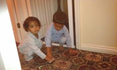 Photo /users/aendr/murinae/378