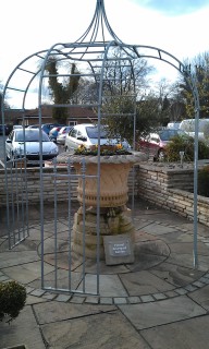 Photo /users/aendr/murinae/385