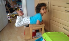 Photo /users/aendr/murinae/419