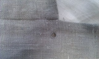 Photo /users/aendr/murinae/447