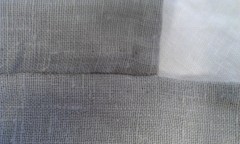 Photo /users/aendr/murinae/449