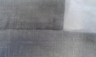 Photo /users/aendr/murinae/449