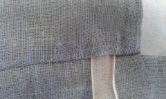 Photo /users/aendr/murinae/451