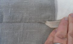 Photo /users/aendr/murinae/453