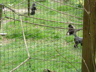 Photo /users/aendr/whiterabbit/100