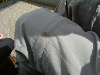 Photo /users/aendr/whiterabbit/1008