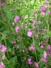 Photo /users/aendr/whiterabbit/1012