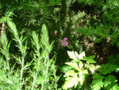 Photo /users/aendr/whiterabbit/1013