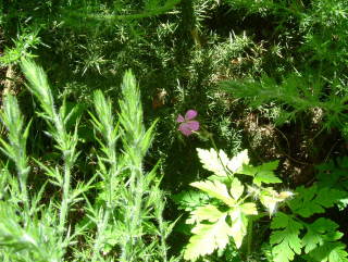 Photo /users/aendr/whiterabbit/1013