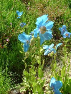 Photo /users/aendr/whiterabbit/1014