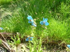 Photo /users/aendr/whiterabbit/1015