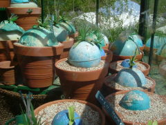 Photo /users/aendr/whiterabbit/1017