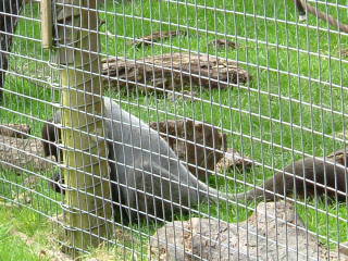 Photo /users/aendr/whiterabbit/102