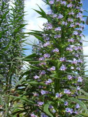 Photo /users/aendr/whiterabbit/1020