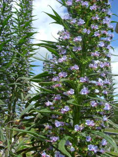 Photo /users/aendr/whiterabbit/1020