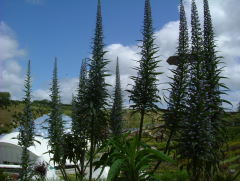 Photo /users/aendr/whiterabbit/1021