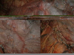 Photo /users/aendr/whiterabbit/1026