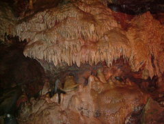 Photo /users/aendr/whiterabbit/1030