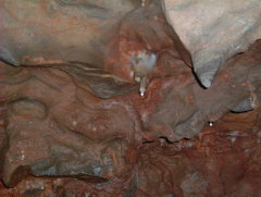 Photo /users/aendr/whiterabbit/1032