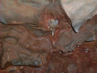 Photo /users/aendr/whiterabbit/1032