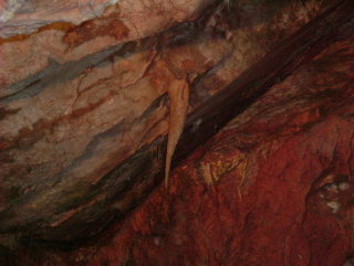 Photo /users/aendr/whiterabbit/1035